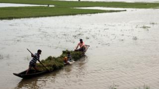 অতিবৃষ্টিতে বোরো ধান নষ্ট হয়ে যাচ্ছে বলে চাষীরা দুশ্চিন্তায় পড়েছেন