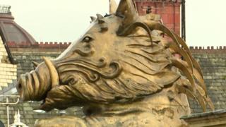 Boar
