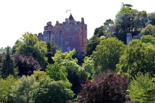 Trees in front of a castle