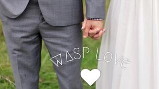 Imagen de una pareja estrechándose la mano, portada de la web Wasp Love.