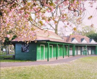 Blossom in the Meadows