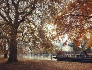 A boat on water under an autumnal tree