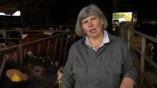 Сью Осборн, молочный фермер (и советник консервативного округа)