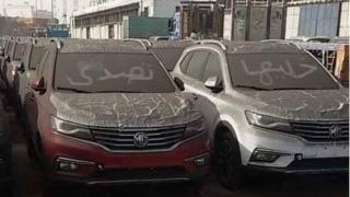 سيارات مكتوب عليها شعار حملة خليها تصدي