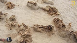 An archaeologist uses a brush in the sand between the exposed ribcages of the victims