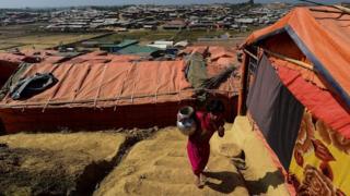 Rohingya