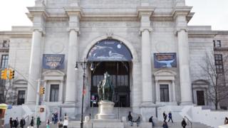 O Museu Americano de História Natural
