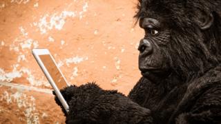 Modern portrait of a gorilla interacting with a tablet.