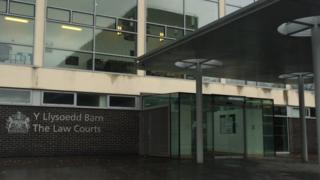 Llys Wyddgrug