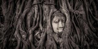 Budha karya Mathew Browne
