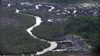 Niger Delta