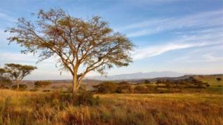 Abo babiri bashimuswe bari mu modoka muri pariki ya Queen Elizabeth National Park yo muri Uganda