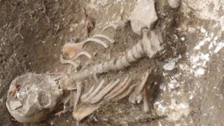 Skeleton