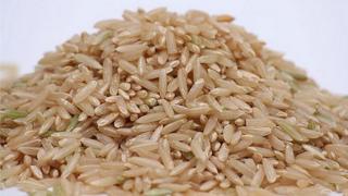 Rice.