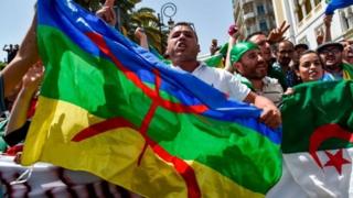 متظاهرون أمازيغ يرفعون العلم الأمازيغي خلال احتجاجهم في العاصمة الجزائرية