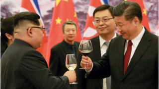KIM/XI
