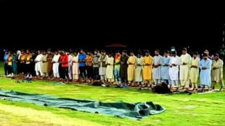 کریکت