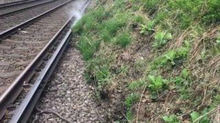 Landslip at Holmwood