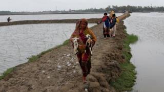 Al-Munnahar carries two kids down the slippery path to the village. It is not just livestock the villagers bring in from outside. Almost all the food they eat now has to be bought at markets some distance away—even vegetables that they used to grow on their own land.