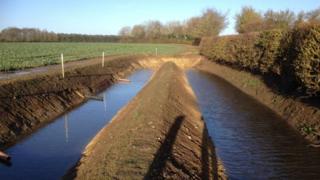 Ditches dug to form sediment traps