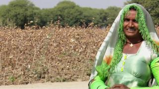 پاکستان کې مالوچ