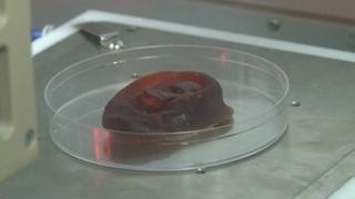 A sample of cartilage