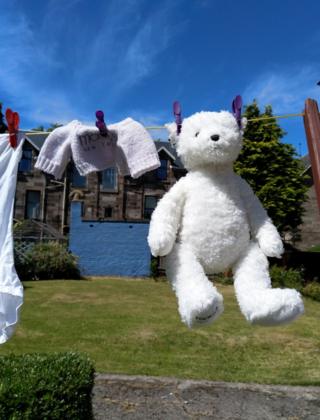 Washing line bear