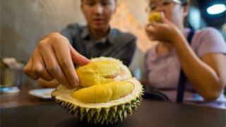 Durian, king of fruit
