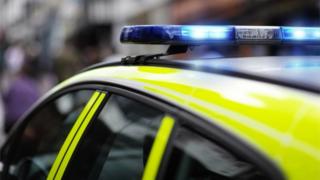 Police car generic