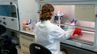 A scientist in Oxford Vaccine Group's laboratory facility