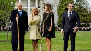 Donald Trump, Brigitte Macron, Melania Trump y President Emmanuel Macron posan con el árbol.