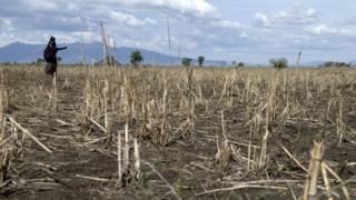Intara ya Karamoja mu 2008