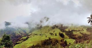 Vista del Valle de Cocora, en Salento, Quindio, Colombia.