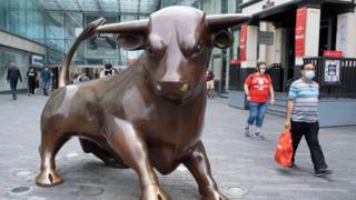 Birmingham bull