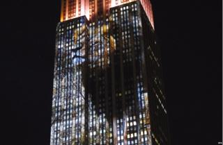 Cecil the lion projected on to Empire State