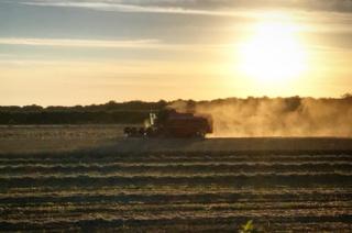 Farmer in his field