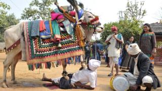 sankranthi