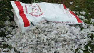 Bag of feathers