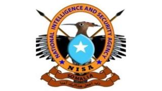 Astaanta Hay'adda Sirdoonka iyo Nabad Sugida Qaranka Soomaaliya (NISA)