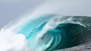 Olas