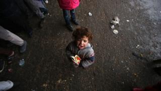 halep