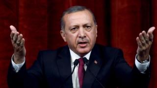 Erdogan Turki