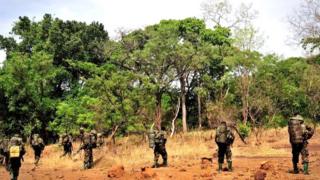Ces forces basées à Obo ont coopéré avec les soldats ougandais qui sont déployés dans cette région