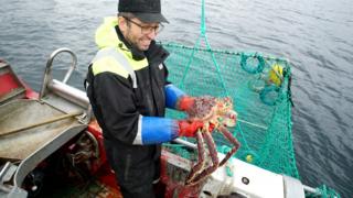 Einar Julissen hauls up a basket of large crabs in the Repparfjord