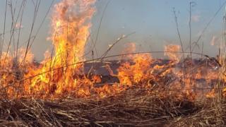 Grass fire