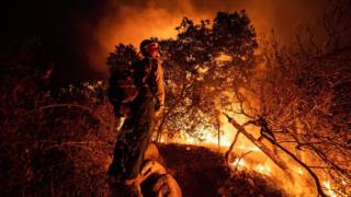 Firefighters "back burn" in an attempt to contain the Bobcat fire in the Angeles National Forest, near Arcadia, California (13 September 2020)