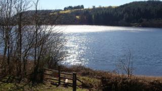 Cronfa Llwyn Onn