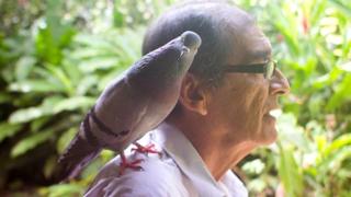 Imagen de conservacionista Víctor Zambrano con paloma en el hombro.