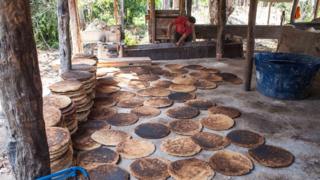 Bijus para produção de tiquira