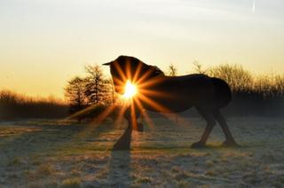 A horse sculpture in a field at sunset